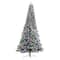 9.5ft. Pre-Lit Flocked British Columbia Mountain Fir Artificial Christmas Tree, Multicolor Globe Bulbs